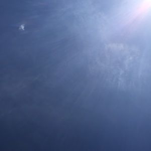 Meet your Posher, Addison